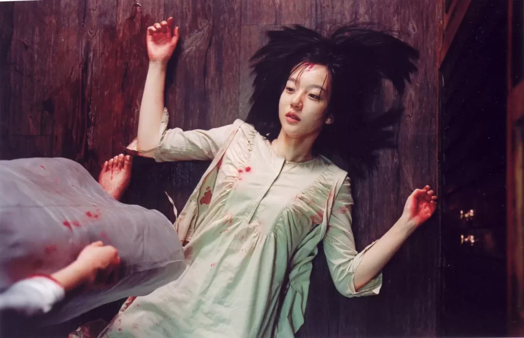 A Tale of Two Sisters, soo-mi perde se stessa.